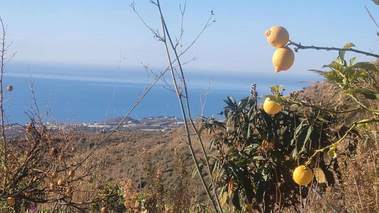 Finca Esperanza Costa Del Sol Саялонга Экстерьер фото